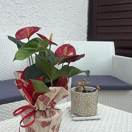 Appartamento Giardini Naxos Butterflies Home Schiso Exterior photo